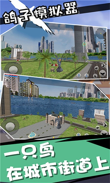 鸽子模拟器手机版图5