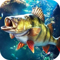 欢乐钓鱼大师2026手机最新版