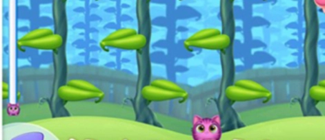 我要养猫直装游戏版图4