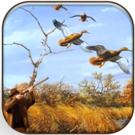 真实野鸭狩猎通用版