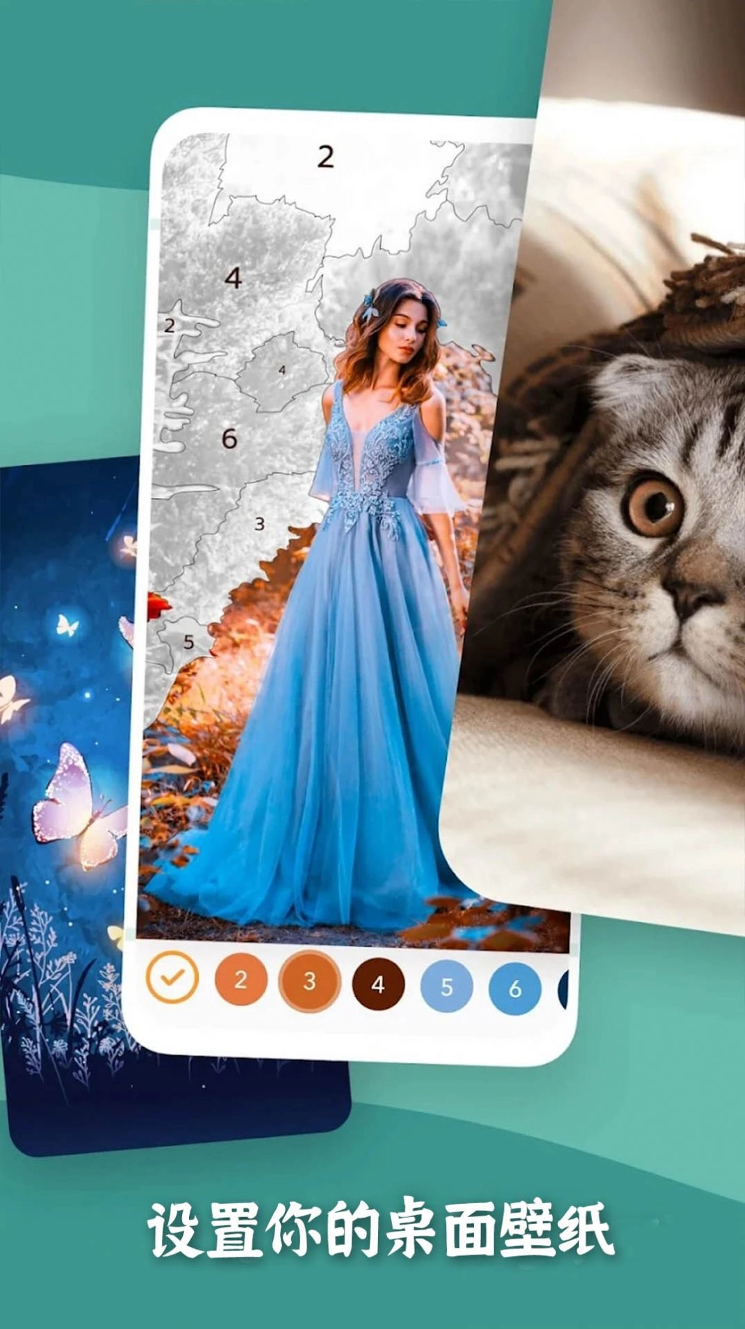 填色一笔画手机最新版图1