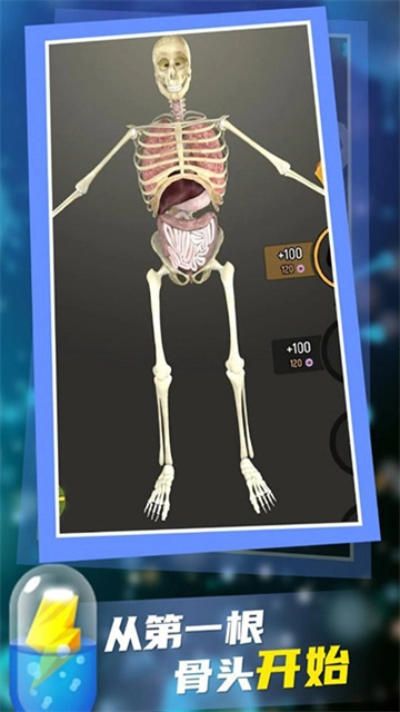 放置人类游戏完整版图3