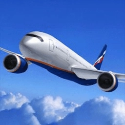 飞机之横冲直撞正版