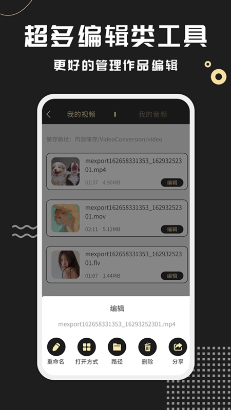 视频格式转化王官方版图4