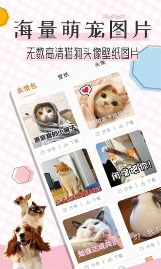 猫语翻译宝手机最新版图1