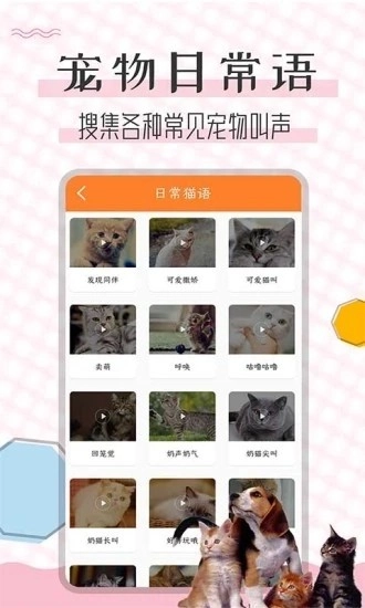 猫语翻译宝手机最新版图4