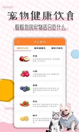 猫语翻译宝手机最新版图5