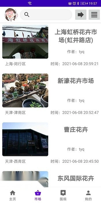 绿植花卉图3