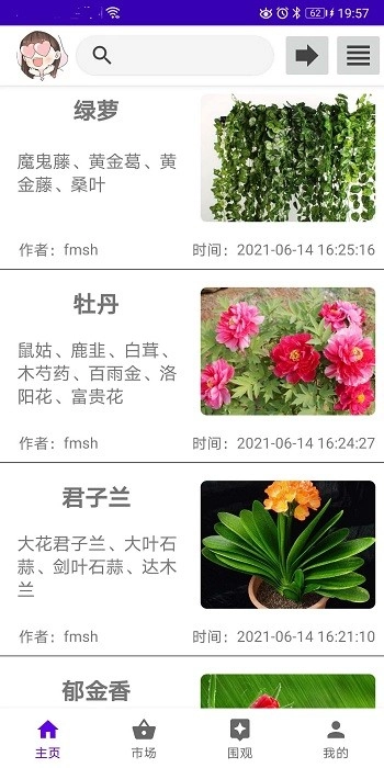 绿植花卉图1