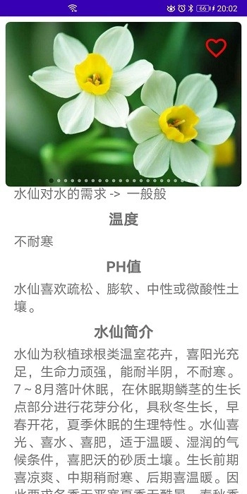 绿植花卉图2