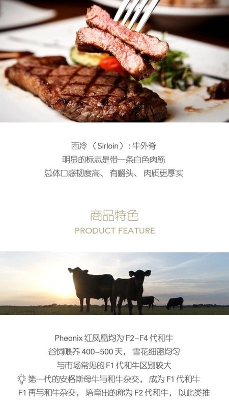 普冷库购官方正版图1