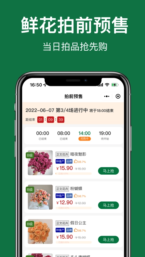 斗南花城手机最新版图1