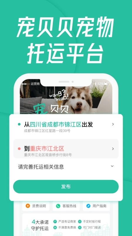 宠贝贝宠物托运平台直装版图1