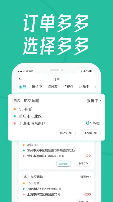 宠贝贝宠物托运平台直装版图2