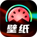 西瓜壁纸正版