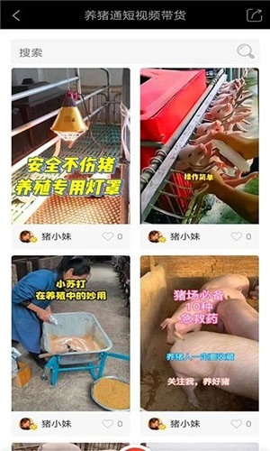养猪通安卓直装版图1