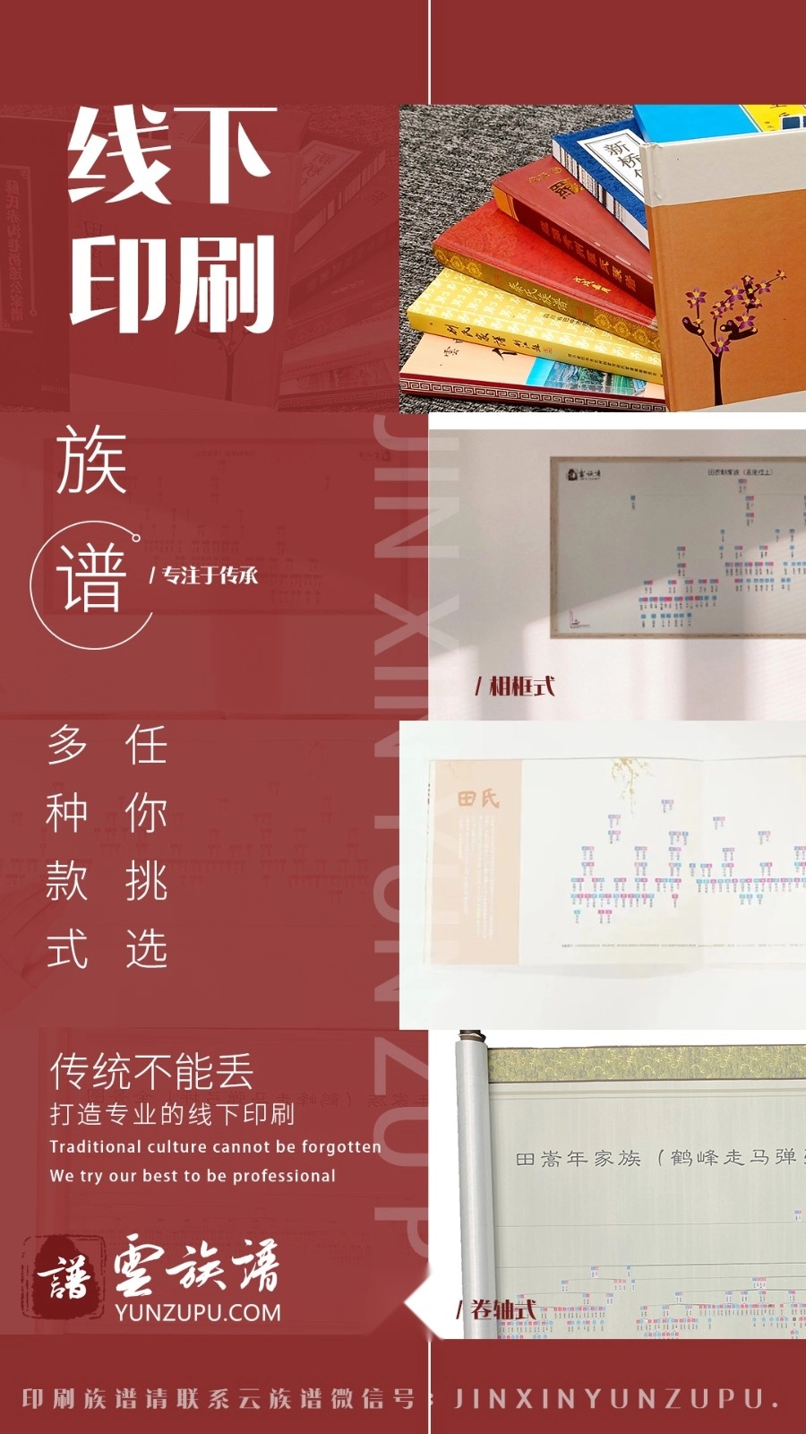 云族谱正版图5
