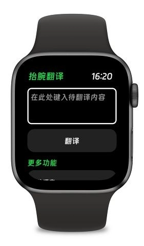 抬腕翻译免费版图4