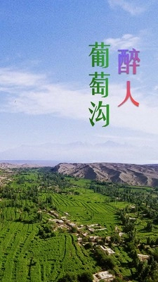 高昌好地方手机免费版图4