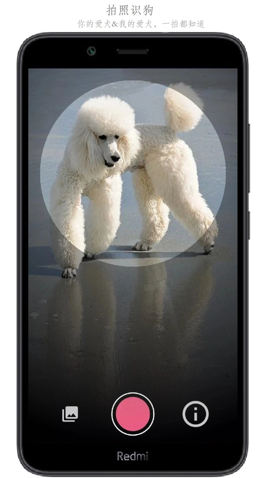 万物识别手机版