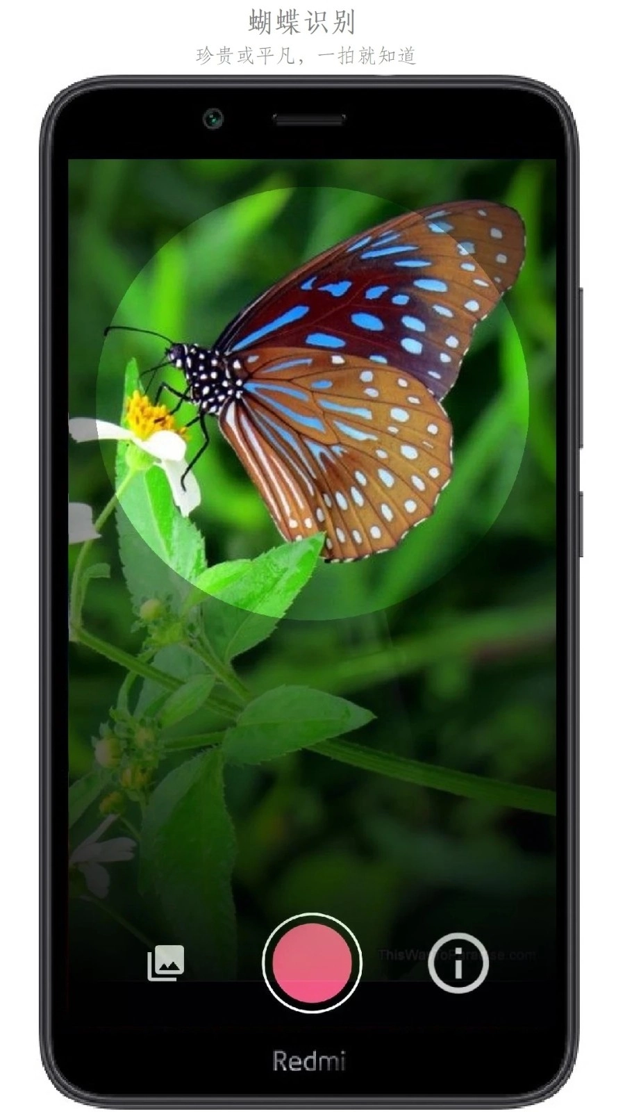 万物识别手机版