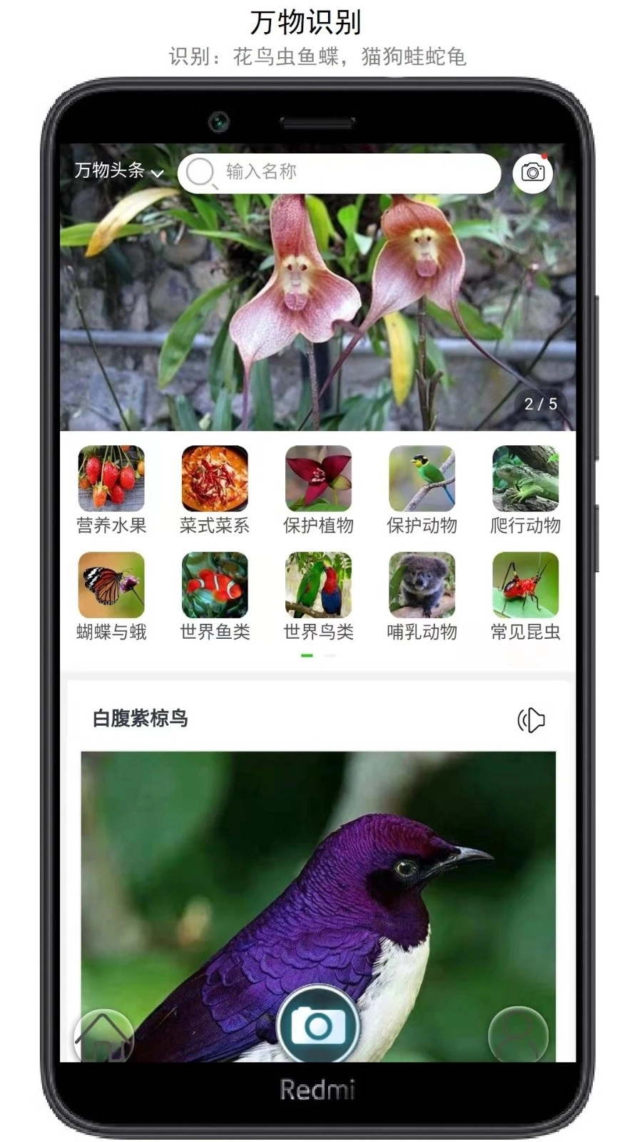 万物识别手机版