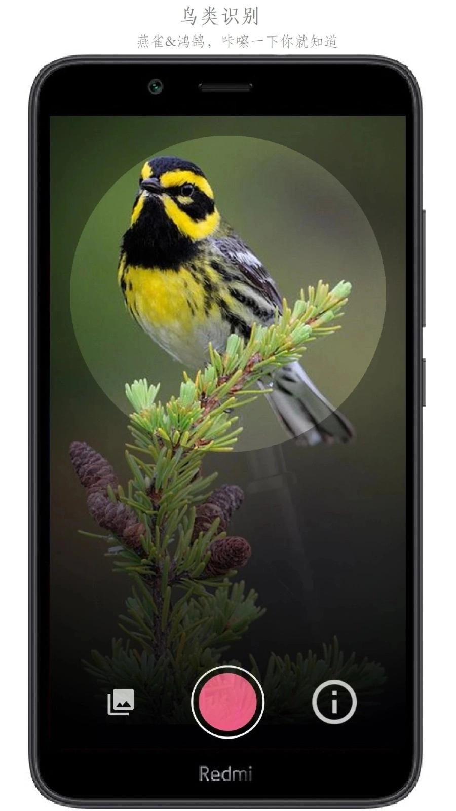 万物识别手机版