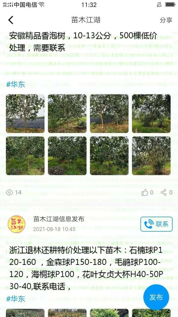 苗木江湖通用版图4