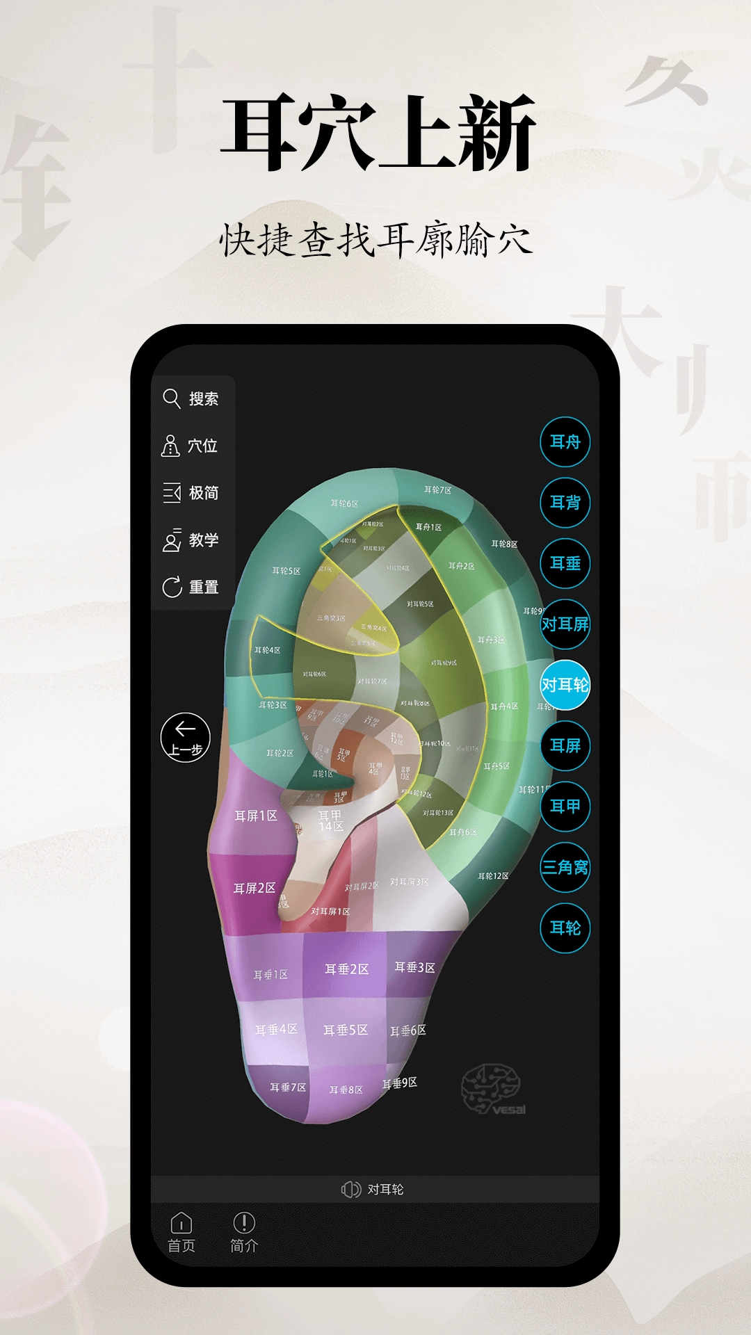 针灸大师手机最新版图1