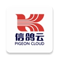 信鸽云最新免费版