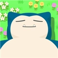 Pokemon Sleep直装版