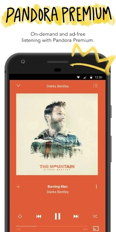 Pandora通用版图3