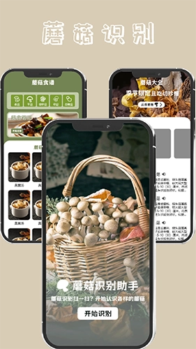蘑菇识别直装版图3