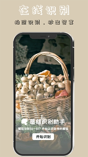 蘑菇识别直装版图2