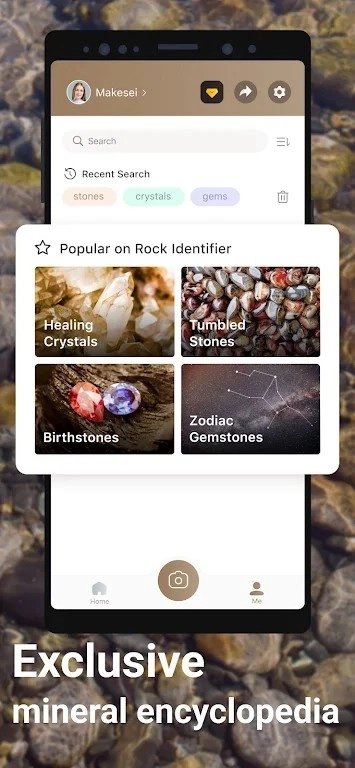 Rock Identifier免费原版图2