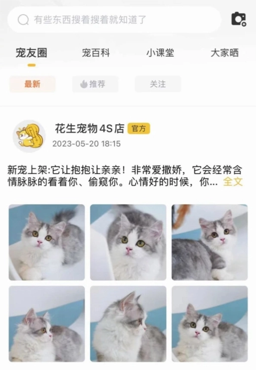 花生宠物软件下载