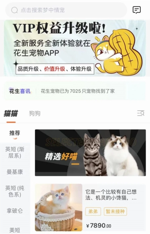 花生宠物软件下载