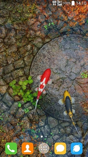 Fish on the desktop手机最新版图3