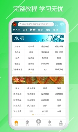 龙族安卓直装版图2