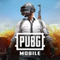 pubg地铁逃生日韩游戏完整版