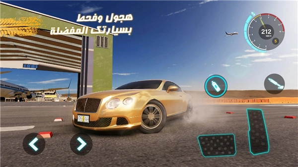 沙漠之王2直装游戏版