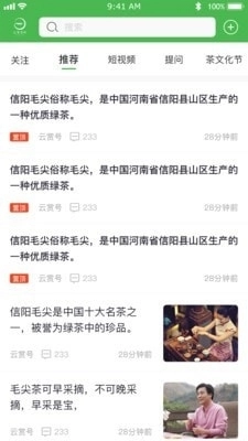 云赏信阳毛尖直装版图4