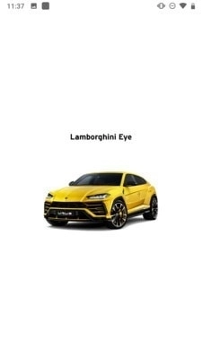 LamborghiniEye最新免费版图1
