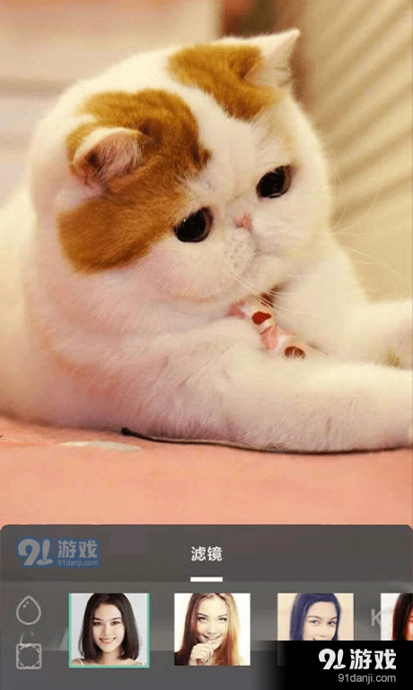 carton手机版图3