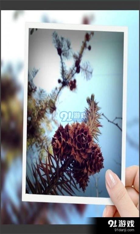 趣拍玩图照相机手机正版图1