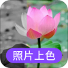 照片上色手机最新版