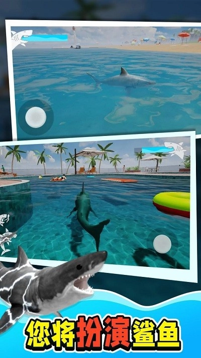 动物鲨鱼大猎杀手游直装版图2