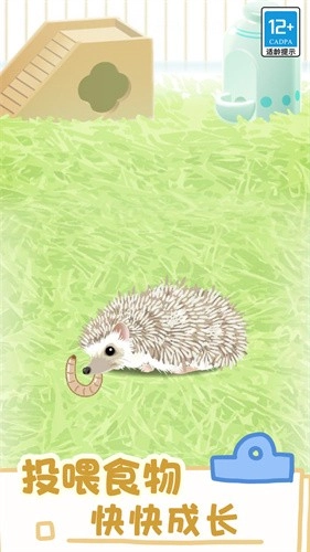 小小宠物游戏最新版图2