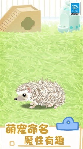 小小宠物游戏最新版图3