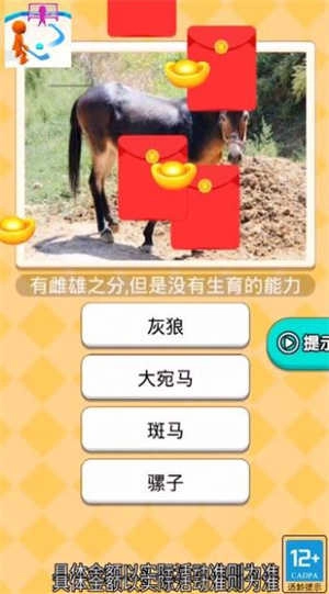 曲棍球高手游戏官方最新版图2